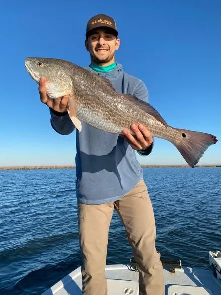 Angler holding a large redfish on a Captain Coffey charter