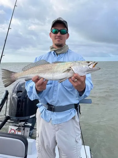 Speckled trout caught on a Port O’Connor bay fishing trip